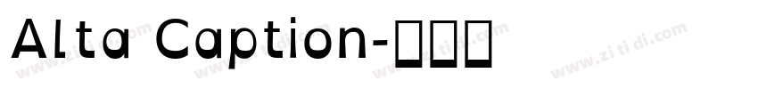 Alta Caption字体转换